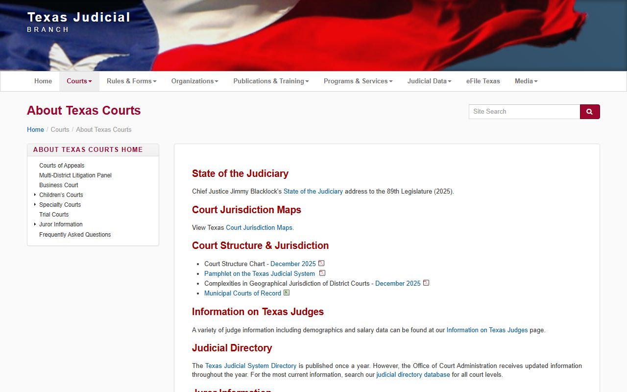 Bexar County District Clerk records context on the Texas court structure overview